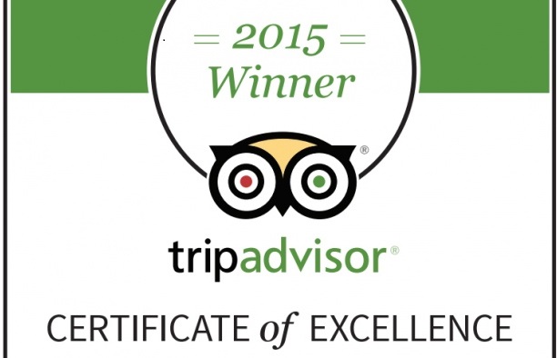 Certificateofexcellene 2015 EN1
