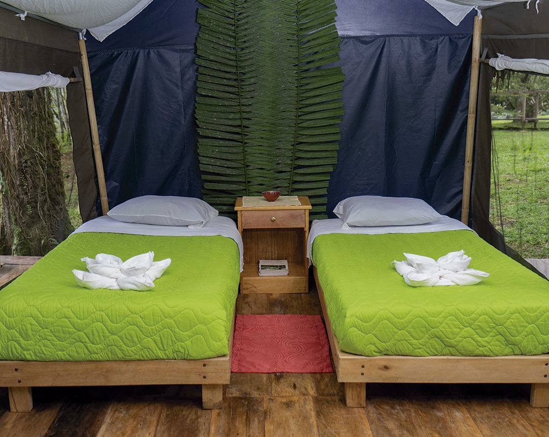 TWIN BED TENT