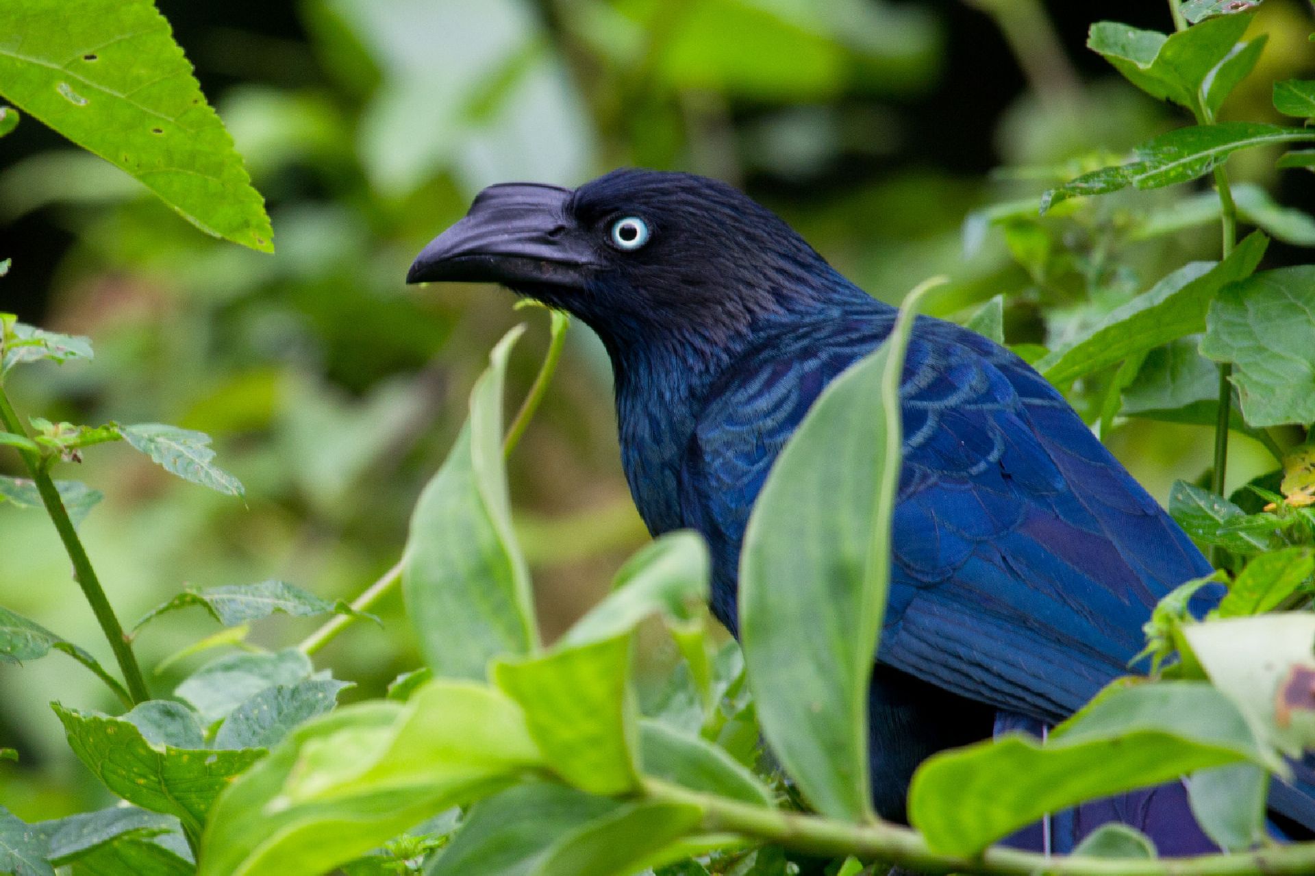 ecuador green travel