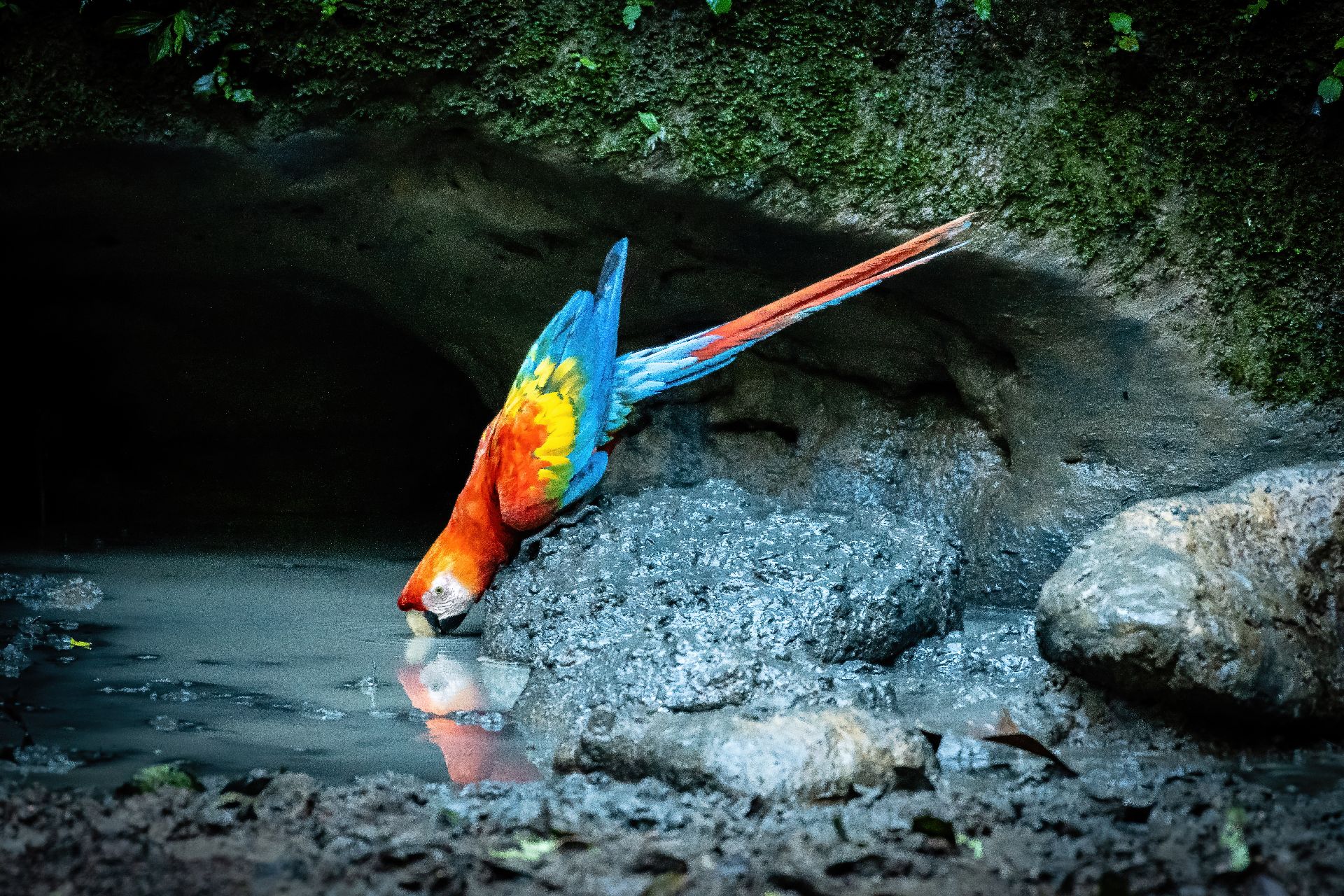 ecuador green travel