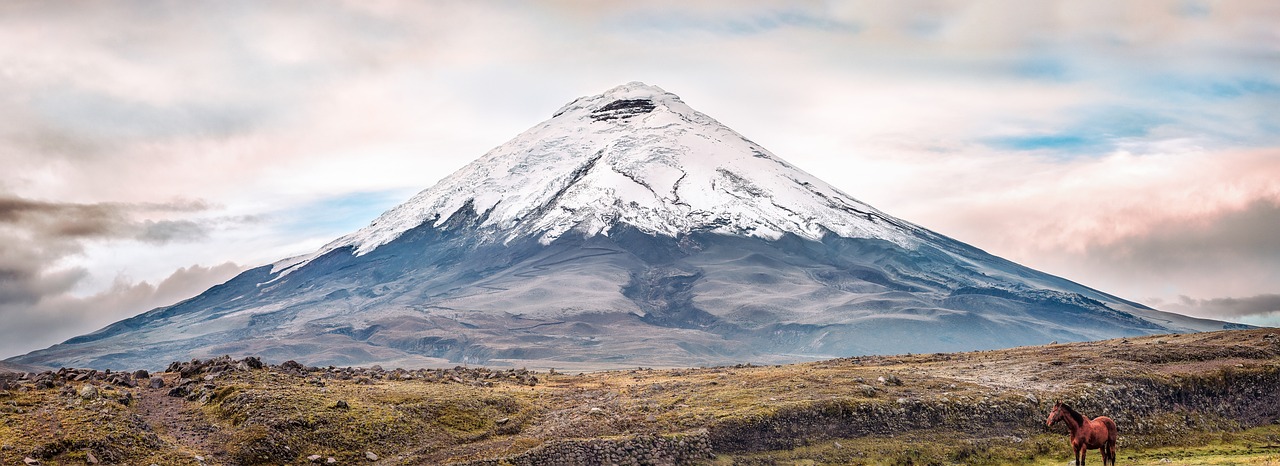 ecuador tourist agency