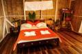 amazon_dolphin_lodge_double_cabin_1.jpg