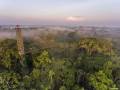 canopy_walk_sacha_lodge.jpg