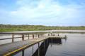 dock-Napo-Wildlife-Center.jpg